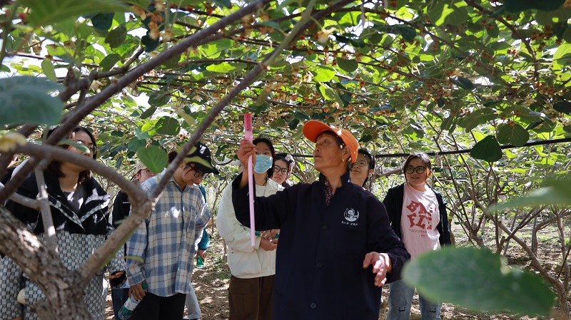 村民为学生教授授粉知识.JPG